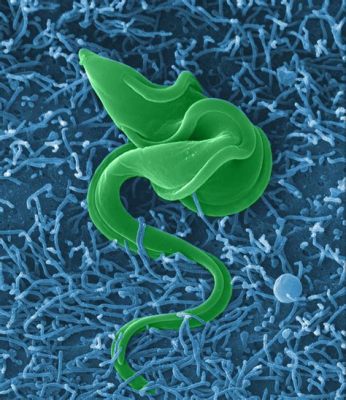  Trypanosoma:  A Microscopic Parasite that Wreaks Havoc on Both Humans and Animals!